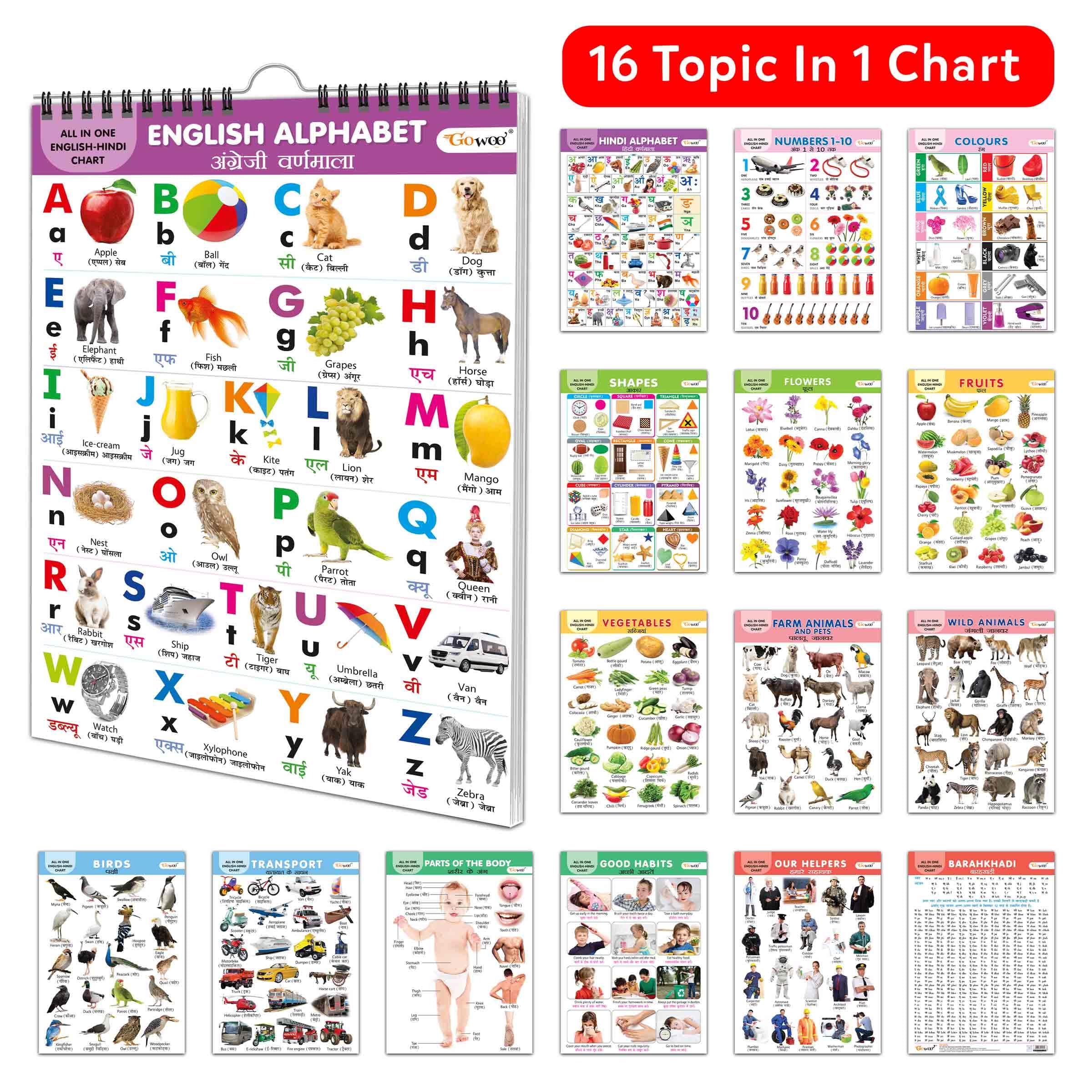 English-Hindi Chart For Kids (16 Charts) 36 X 50 Cm - Children Spiral Wall Picture Chart (image 3)