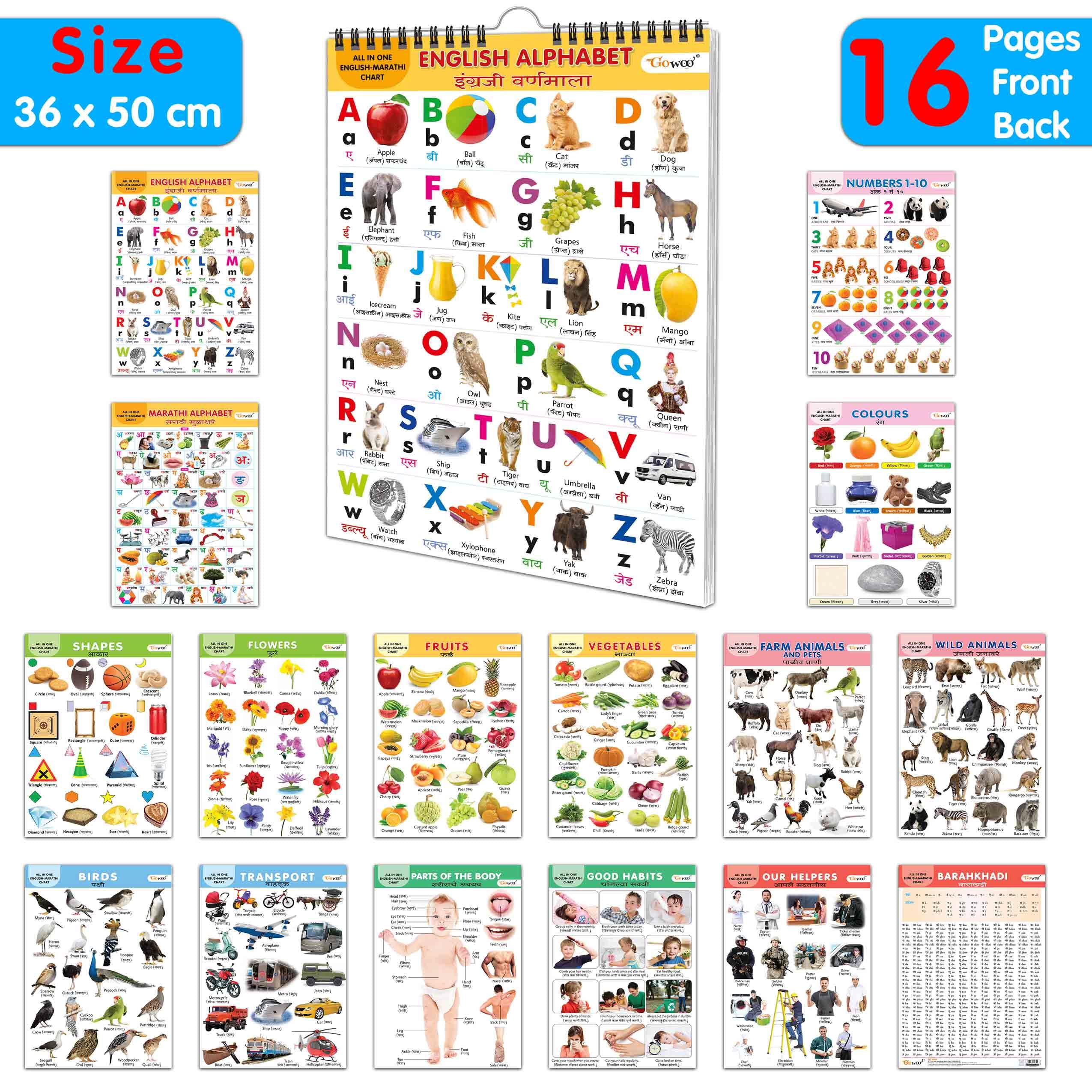 English-Marathi Chart For Kids (16 Charts) 36 X 50 Cm - Children Spiral Wall Picture Chart (image 8)