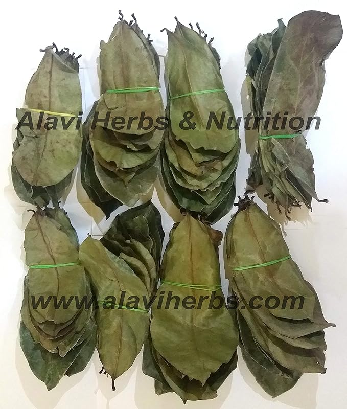 Alavi's Soursop / Graviola 240 Dry Leaves with Stems Powder - 130 gms - Pack of 3 image 2