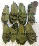Alavi's Soursop / Graviola 240 Dry Leaves with Stems Powder - 130 gms - Pack of 3 image 2