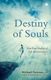 Destiny of Souls Michael Newton