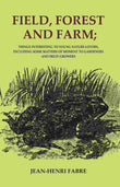Field, Forest and Farm; Things Interesting to Young Nature-lovers, Including Some Matters of Moment to Gardeners and…