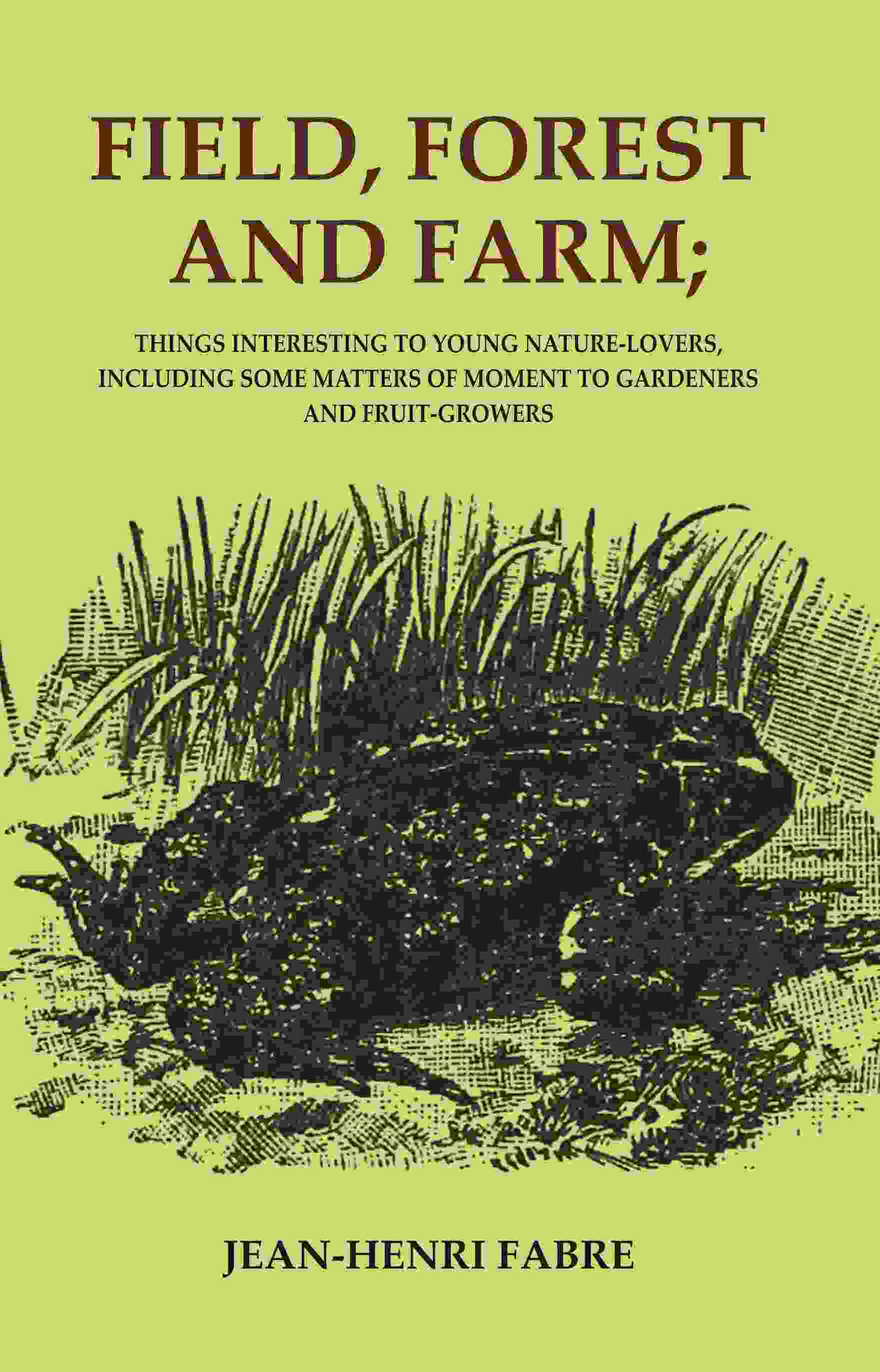 Field, Forest and Farm; Things Interesting to Young Nature-lovers, Including Some Matters of Moment to Gardeners and…