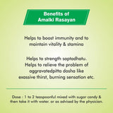 Baidyanath Jhansi Amalki Rasayan -120 gm - pack of 1 image 2