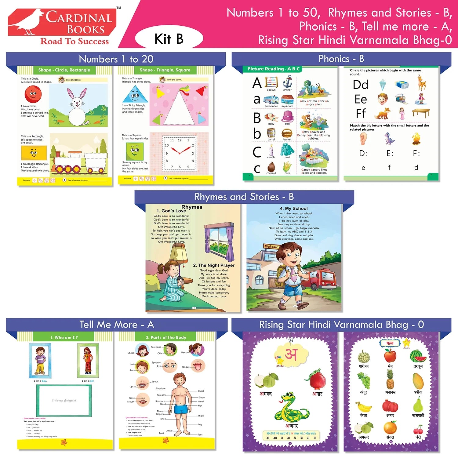 Cardinal Books Preschool Learning Junior KG (LKG) Kit C Set of 16| Ages 4-5 Years| Alphabet| Number| Rhymes and Stories…