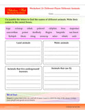 Step By Step Skills Scrambled Words-1(Tearble Colourful Worksheets) – Scholars Hub (image 3)