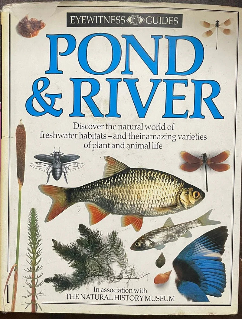 Pond & River by Paul Whalley