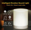 CL-671 Touch LAMP Intelligent Portable Speaker