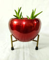 Metal Meena Planter Pots with Stand (Maroon Red)