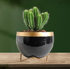 Black Metal Planter Pot with Gold Stand, Set of 1, Modern Style Planter Set, Indoor Outdoor Home Decor