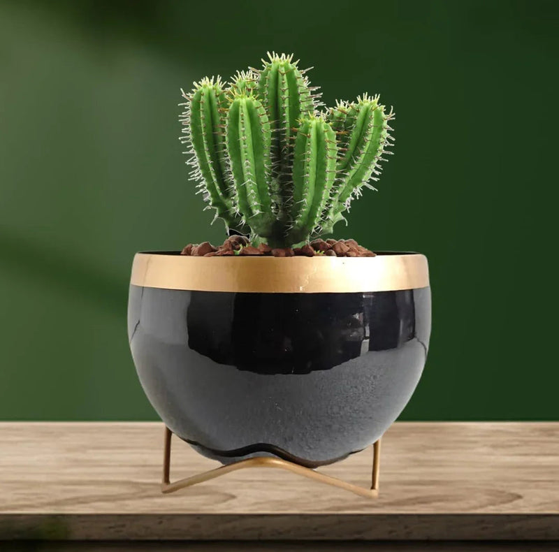Black Metal Planter Pot with Gold Stand, Set of 1, Modern Style Planter Set, Indoor Outdoor Home Decor
