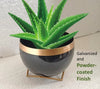 Black Metal Planter Pot with Gold Stand, Set of 1, Modern Style Planter Set, Indoor Outdoor Home Decor