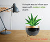 Black Metal Planter Pot with Gold Stand, Set of 1, Modern Style Planter Set, Indoor Outdoor Home Decor