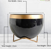 Black Metal Planter Pot with Gold Stand, Set of 1, Modern Style Planter Set, Indoor Outdoor Home Decor