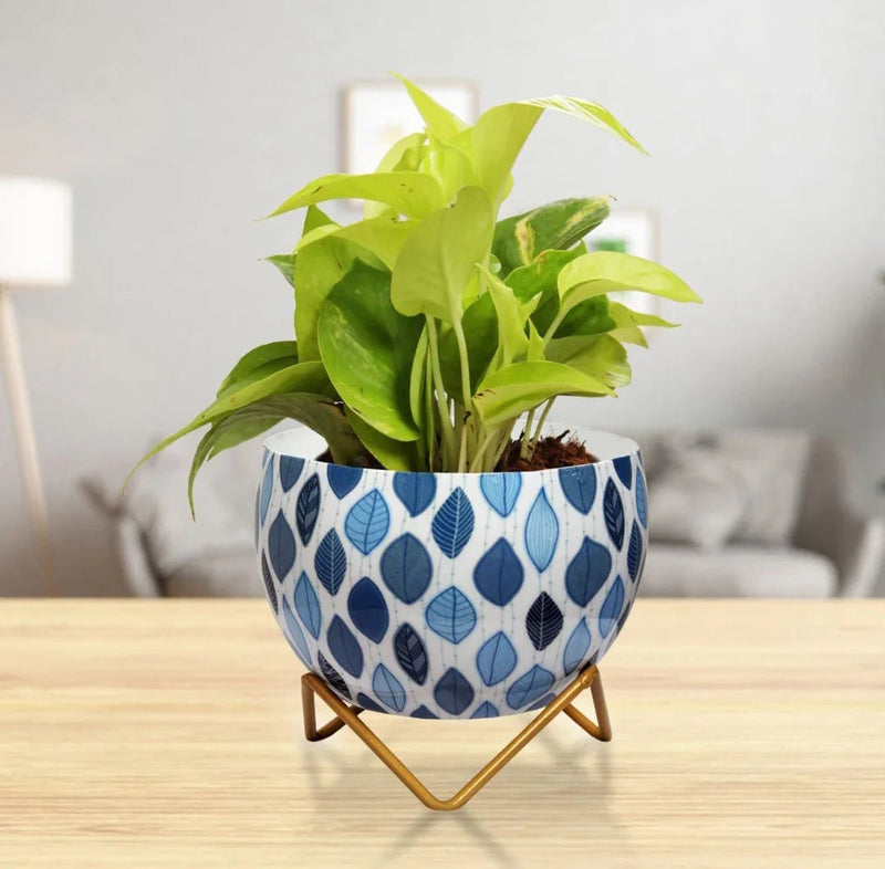 Decorative Metal Planter with Stand for Indoor Plants
