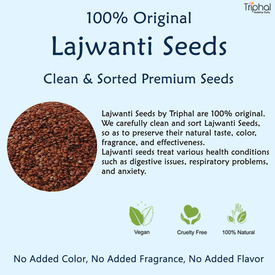 Triphal Lajwanti Seeds – Mimosa Pudica – Chui Mui Beej image 2