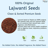 Triphal Lajwanti Seeds – Mimosa Pudica – Chui Mui Beej image 2