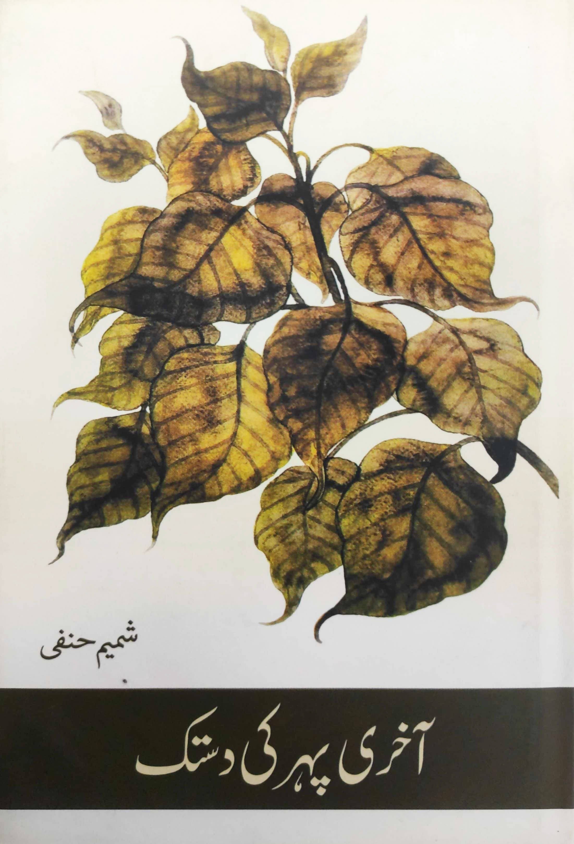 Aakhri Paher Ki Dastak - Shamim Hanafi – Rekhta