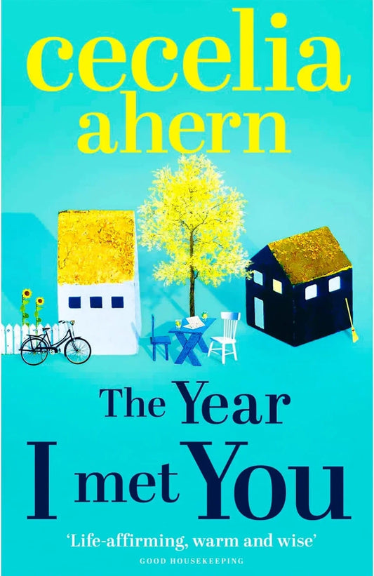 The Year I Met You by Cecelia Ahern - old paperback