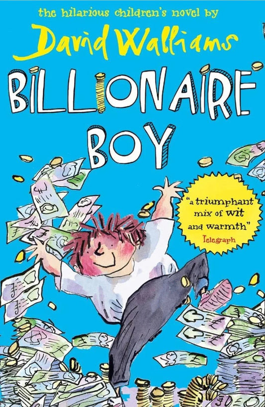 Billionaire Boy by David Walliams - old paperback