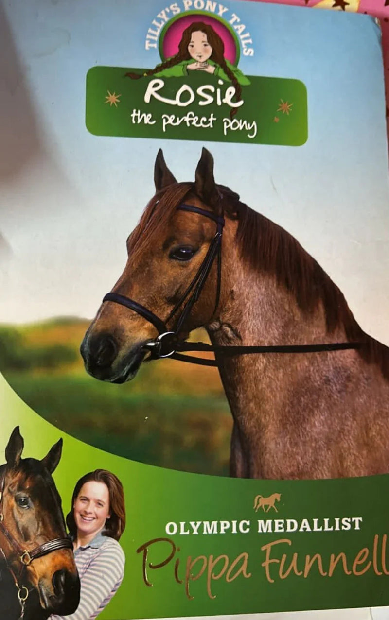 Rosie the Perfect Pony (Pippa's Pony Tales) - old paperback