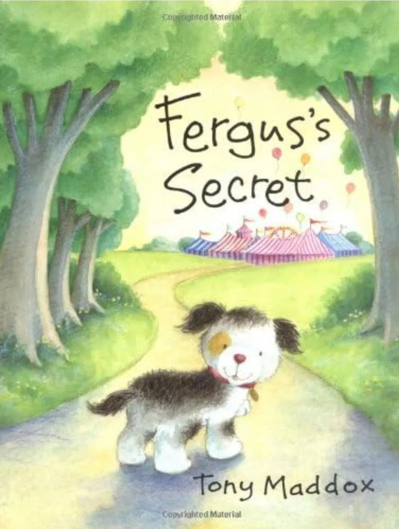 Fergus's Secret by Tony Maddox - old hardcover