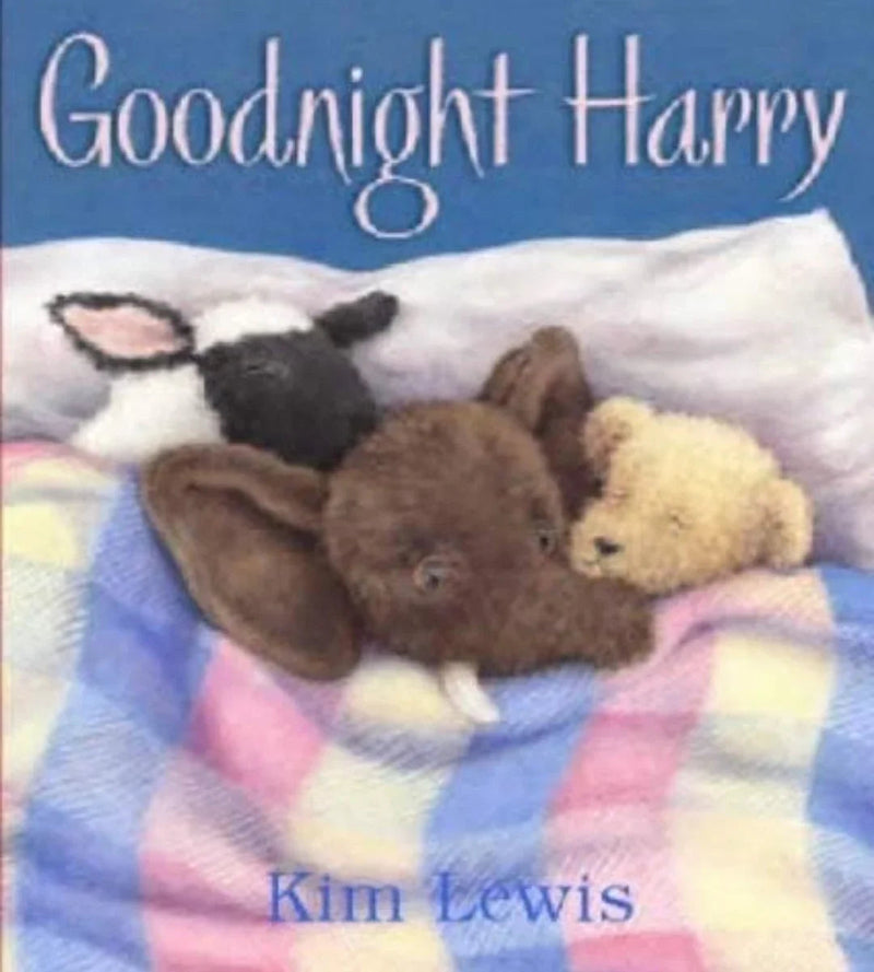 Goodnight Harry by Kim Lewis - old hardcover