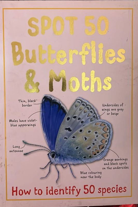 Spot 50 Butterflies and Moths by Belinda Gallagher - old paperback