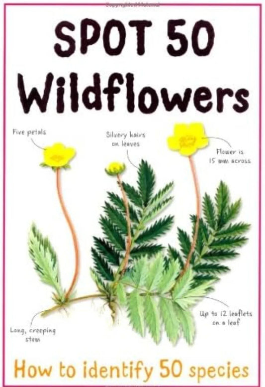 Spot 50 Wild Flowers by Camilla De la Bedoyere - opd hardcover
