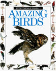Amazing Birds (Eyewitness Junior) by Dorling Kindersley - old hardcover