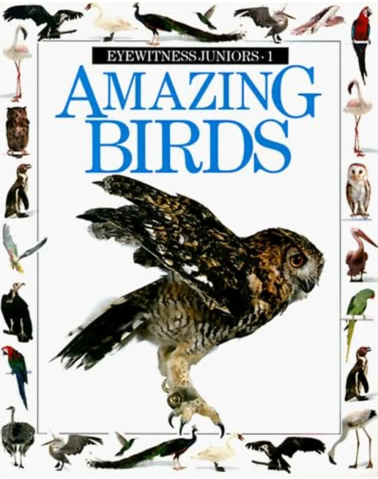 Amazing Birds (Eyewitness Junior) by Dorling Kindersley - old hardcover