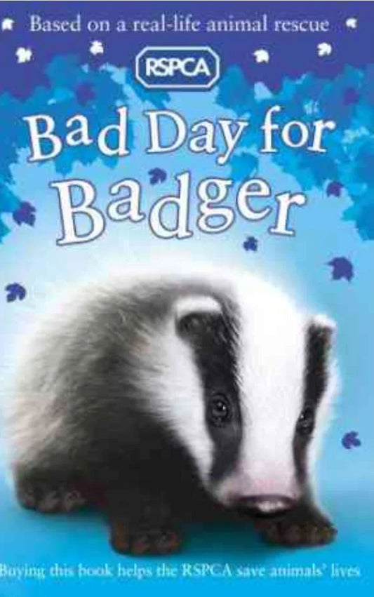 Bad Day for Badger by Sarah Hawkins - old paperback