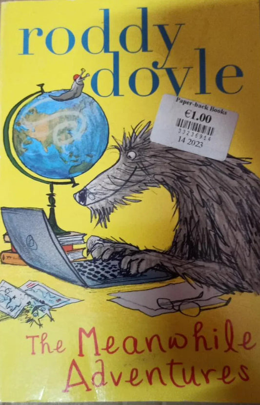 The Meanwhile Adventures by Roddy Doyle - old paperback