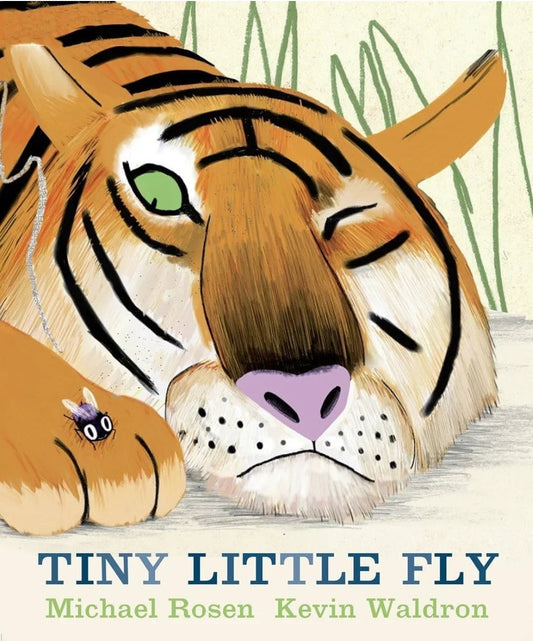 Tiny Little Fly by Michael Rosen - old paperback