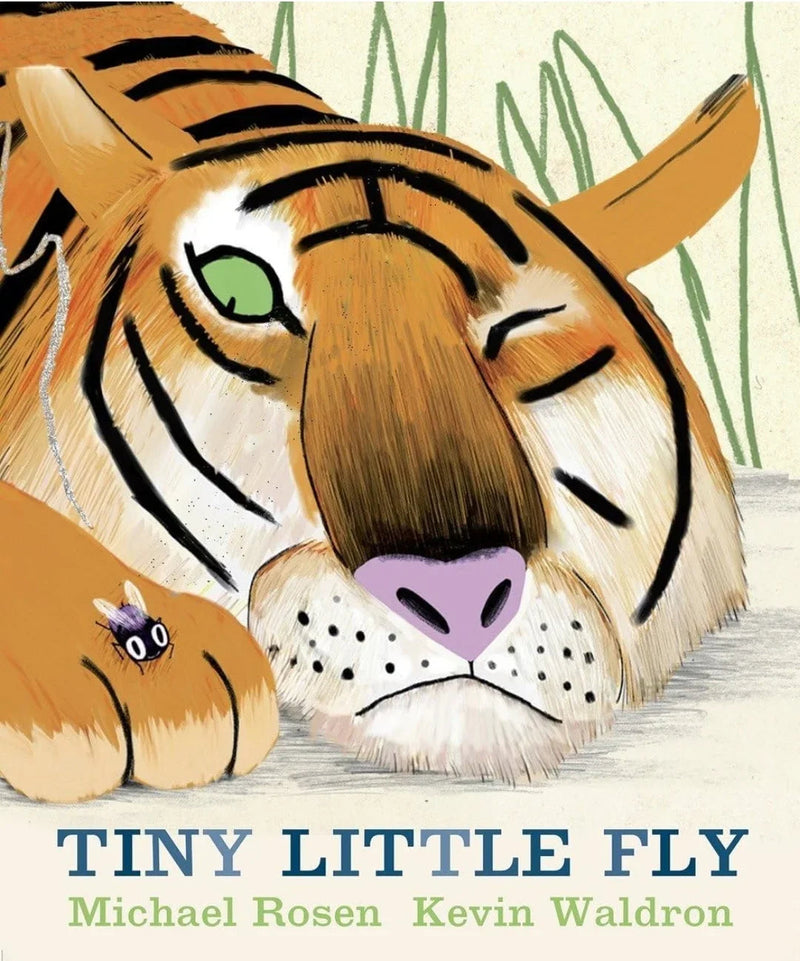 Tiny Little Fly by Michael Rosen - old paperback