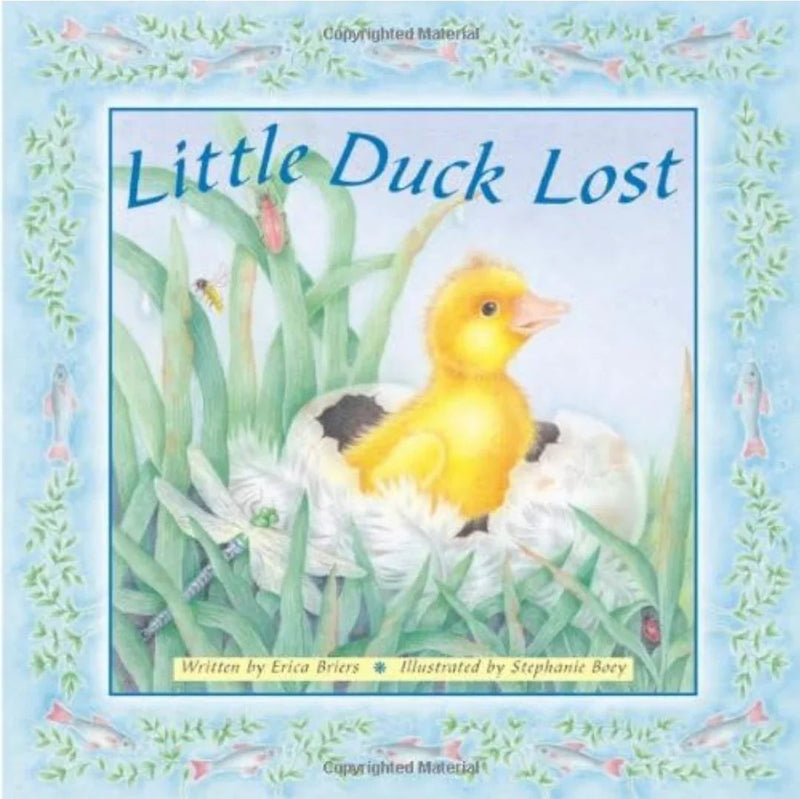 Little Duck Lost by Erica Briers - old boardbook