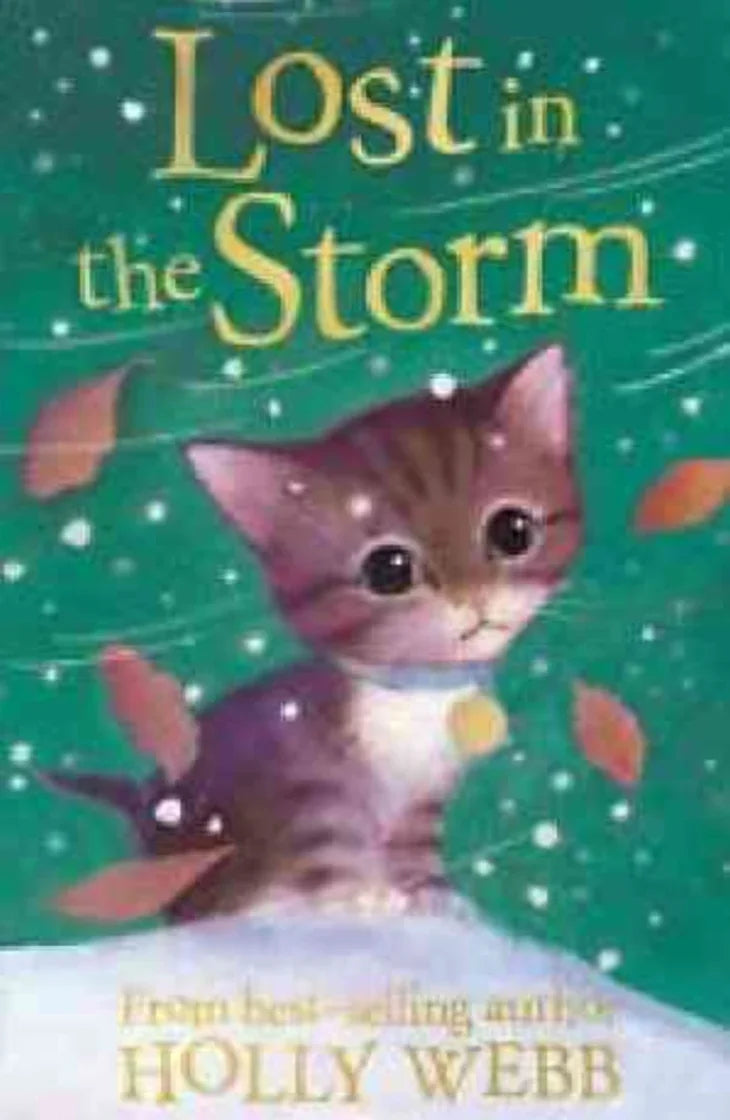 Lost in the Strom by Holly Webb
