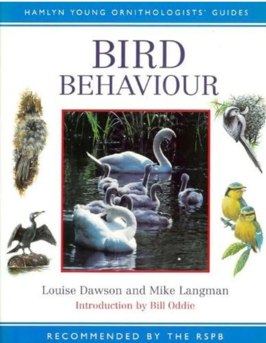Bird Behaviour (Hamlyn Young Ornithologists' Guides) by Louise Dawson - old hardcover