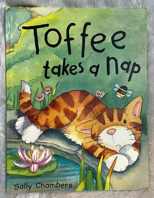 Toffee takes a nap by Sally Chambers
