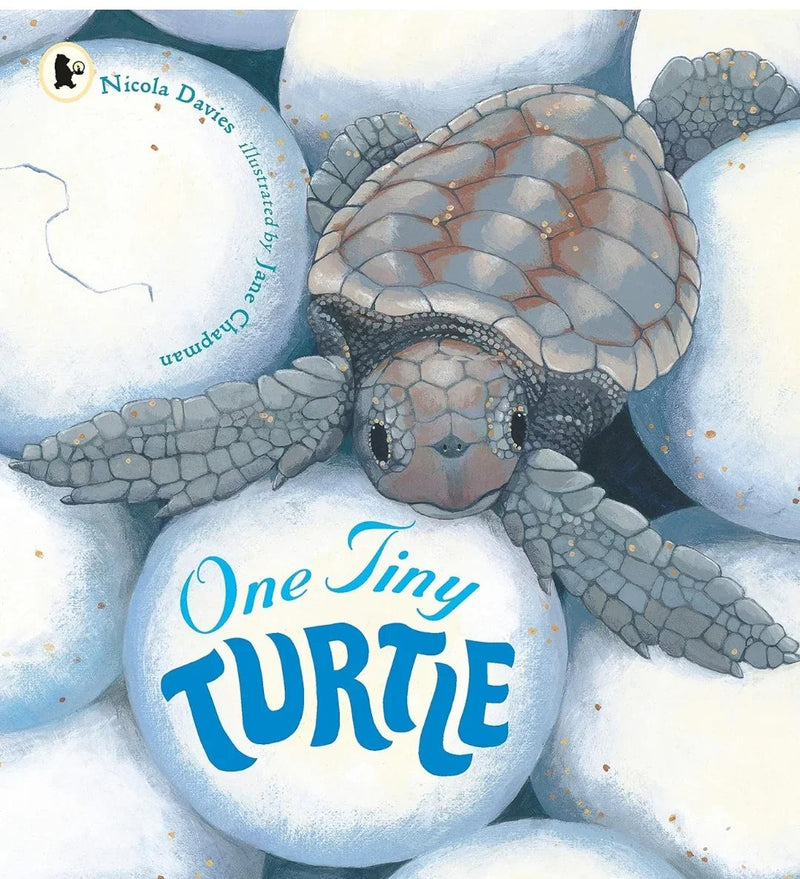 One Tiny Turtle by Nicola Davies