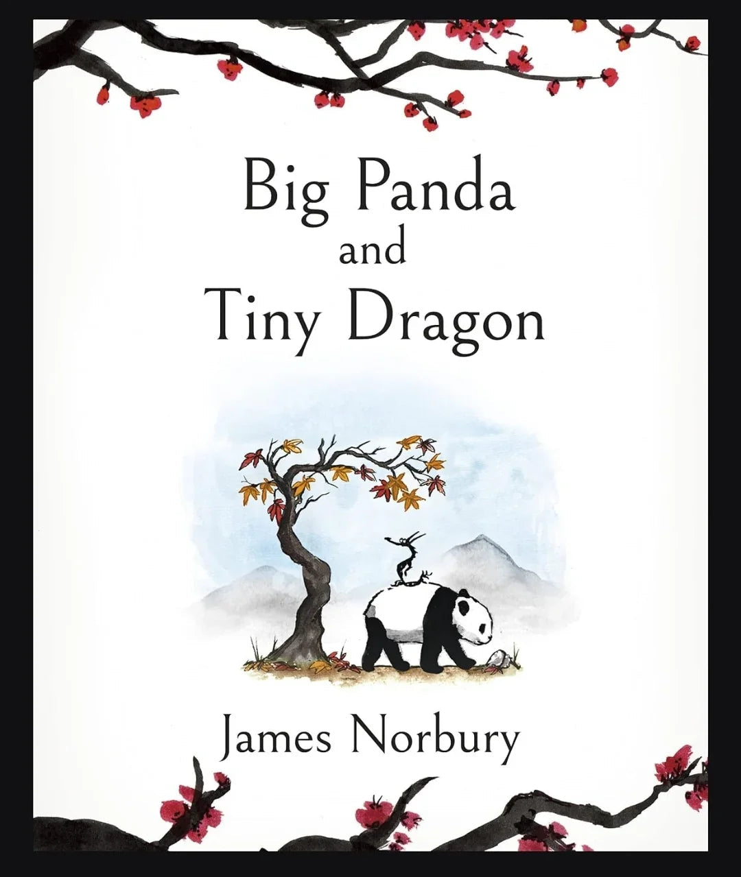 Big Panda and Tiny Dragon by James Norbury hardcover