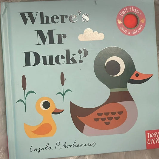 Wheres Mr Duck?