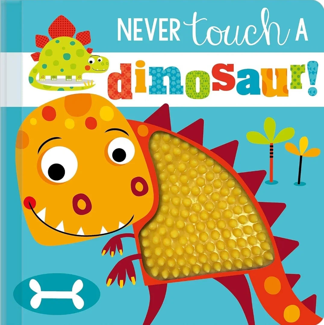 Never touch a dinosaur Rosie Greening