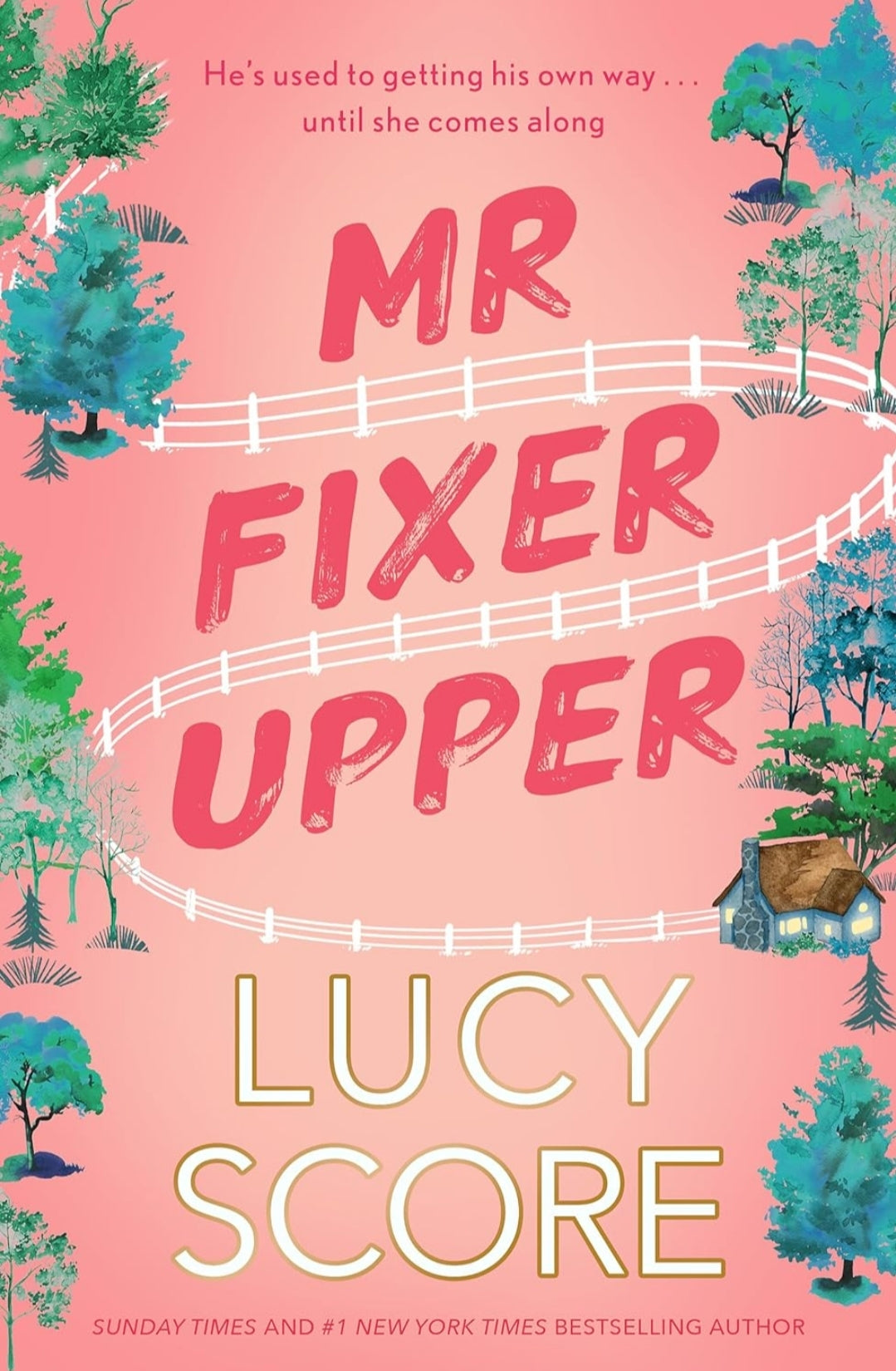 Mr Fixer Upper by Lucy Score