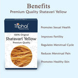 Triphal Shatavari Root Yellow – Shatawar Jad Pili – Asparagus Racemosus image 2
