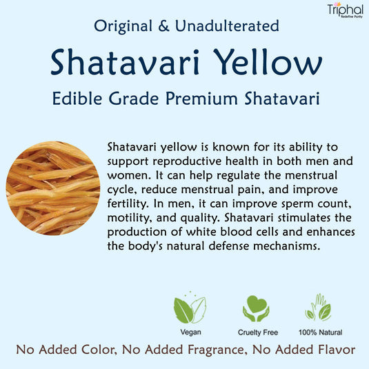 Triphal Shatavari Root Yellow – Shatawar Jad Pili – Asparagus Racemosus image 3