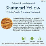 Triphal Shatavari Root Yellow – Shatawar Jad Pili – Asparagus Racemosus image 3