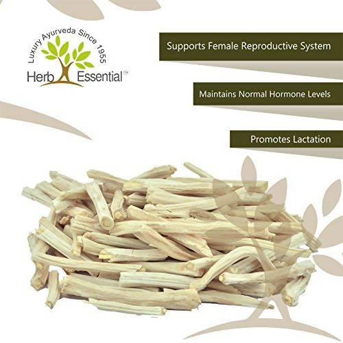 Herb Essential Shatavari Powder image 3