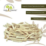 Herb Essential Shatavari Powder image 3