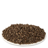 Yuvika Mushk Dana - Abelmoschus Moschatus - Ambrette Seeds image 2